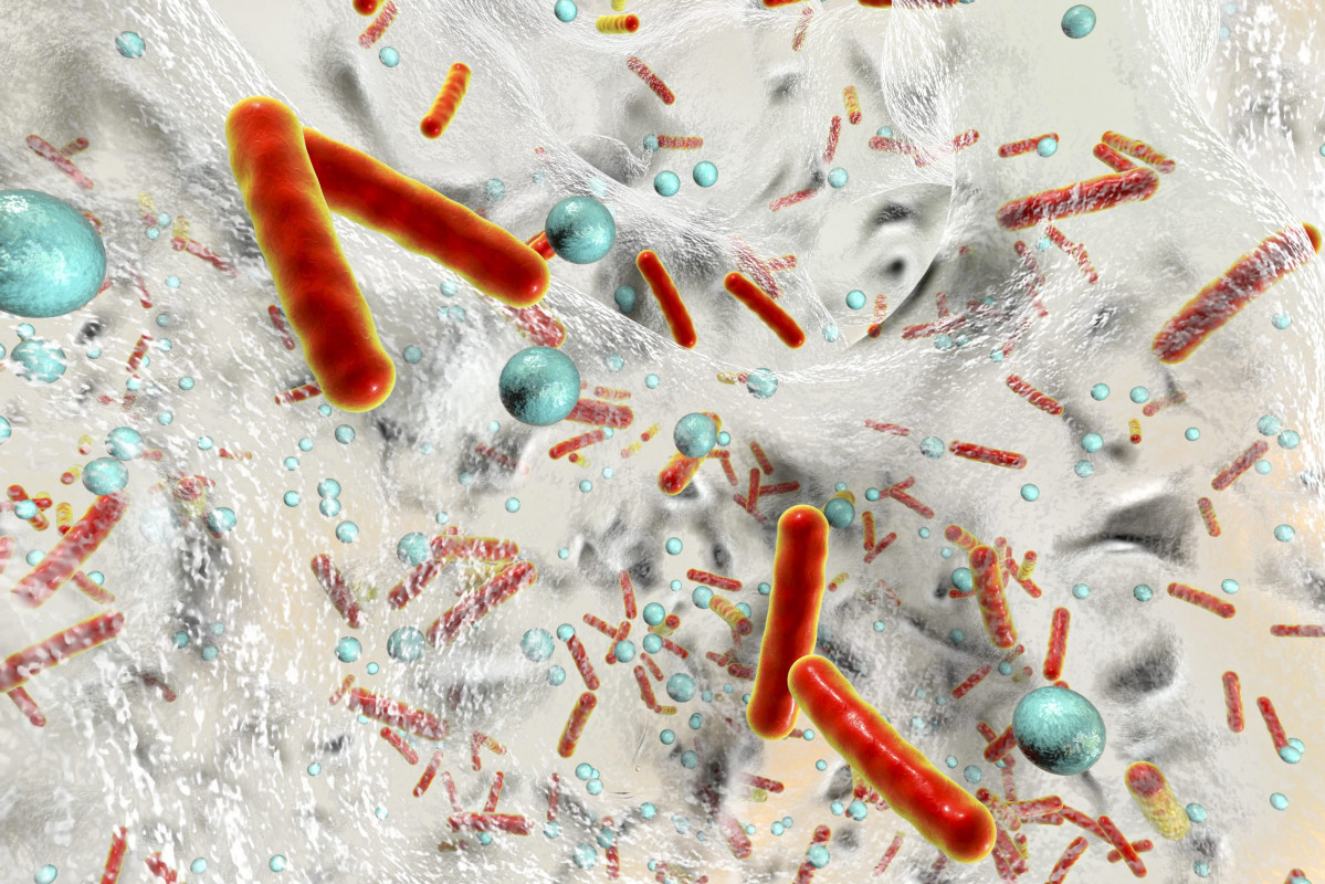 Antibiotic,Resistant,Bacteria,Inside,A,Biofilm,,3d,Illustration.,Realistic,Scientific