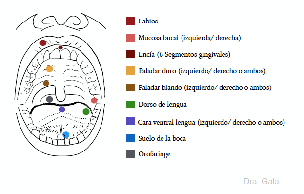 figura 1_caso DM 52