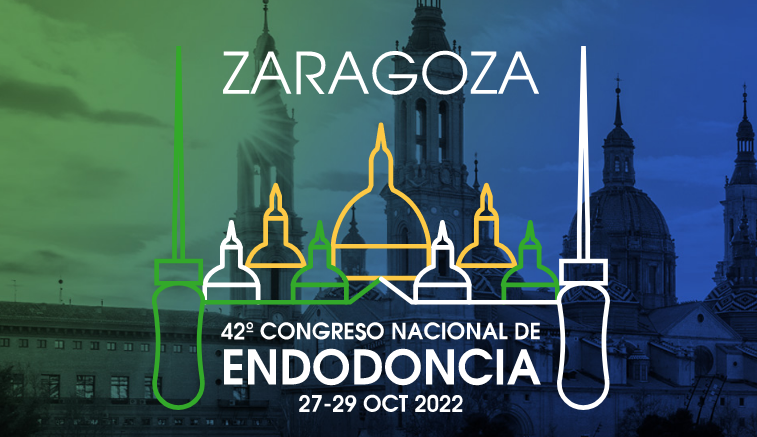 42congreso AEDE Zaragoza