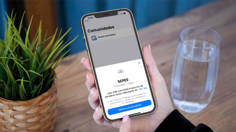 Comunidad whatsapp sepes